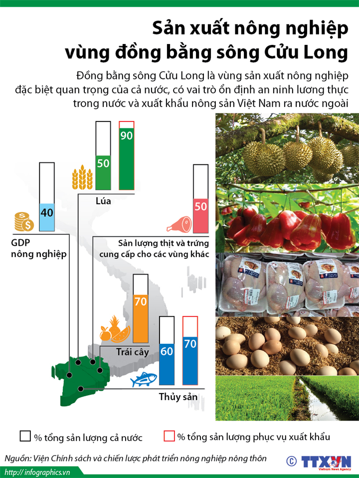 Sản xuất nông nghiệp vùng đồng bằng sông Cửu Long