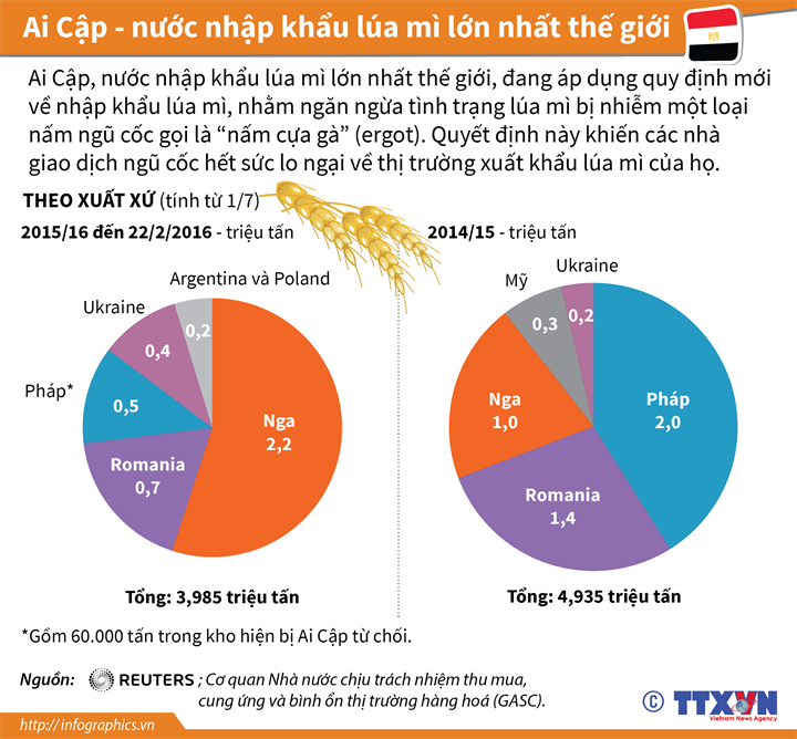 Ai Cập - nước nhập khẩu lúa mì lớn nhất thế giới