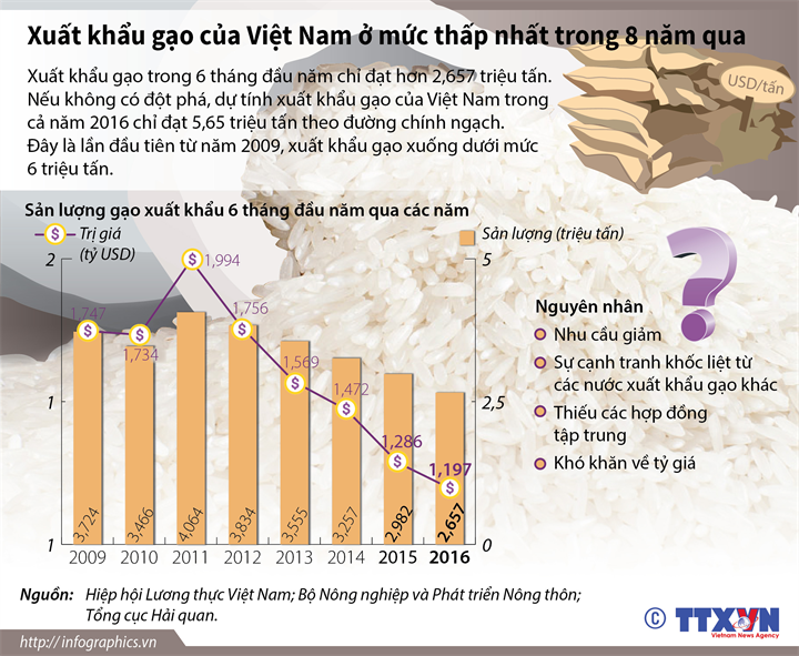 Xuất khẩu gạo của Việt Nam ở mức thấp nhất trong 8 năm qua