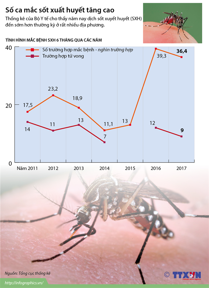 Số ca mắc sốt xuất huyết tăng cao