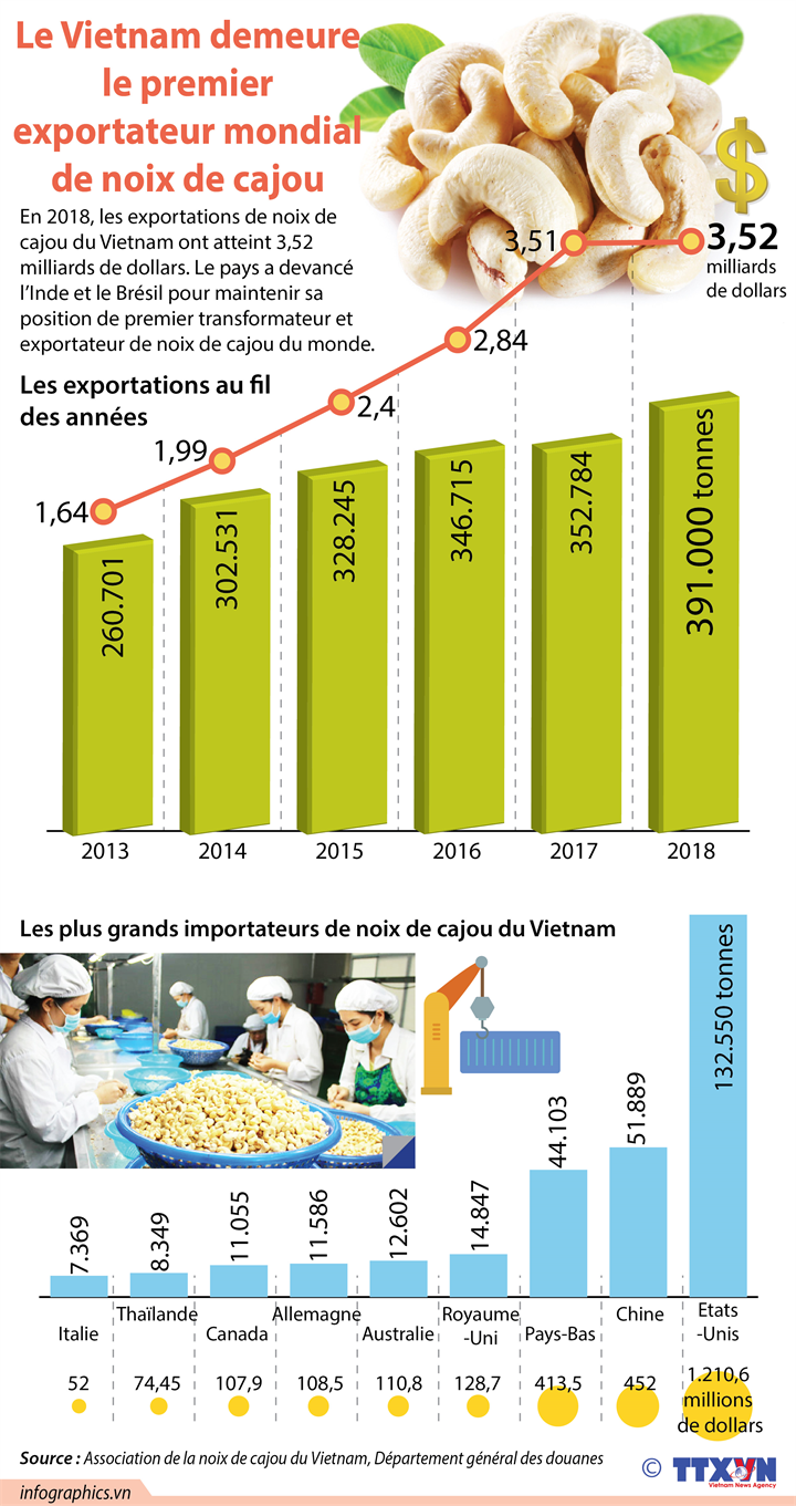 Le Vietnam demeure le ​premier exportateur mondial de noix de cajou