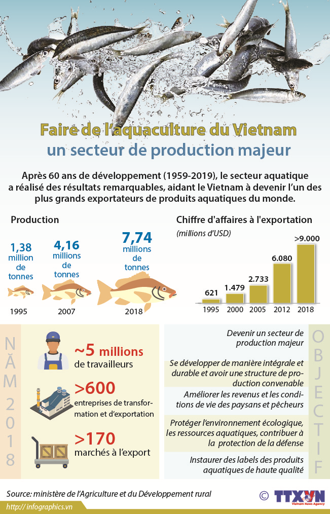 Faire de l’aquaculture du Vietnam un secteur de production majeur 