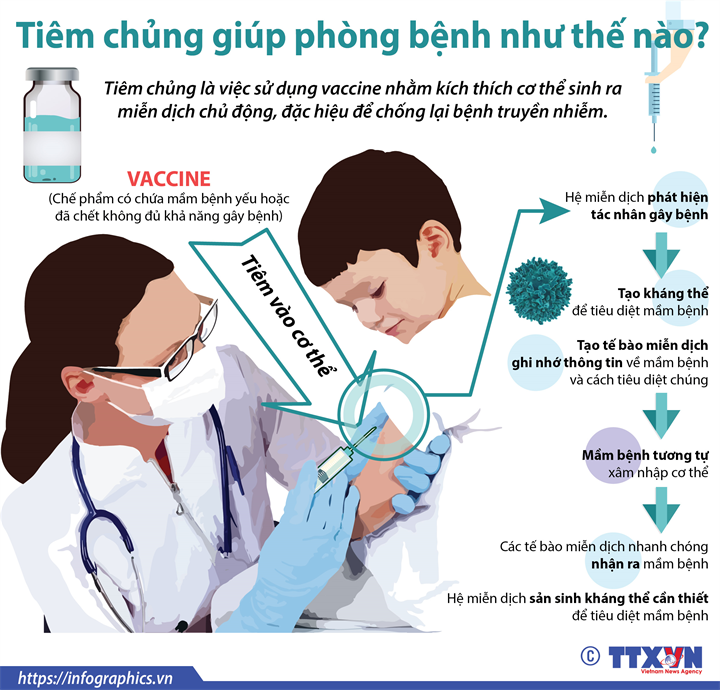 Tiêm chủng giúp phòng bệnh như thế nào?