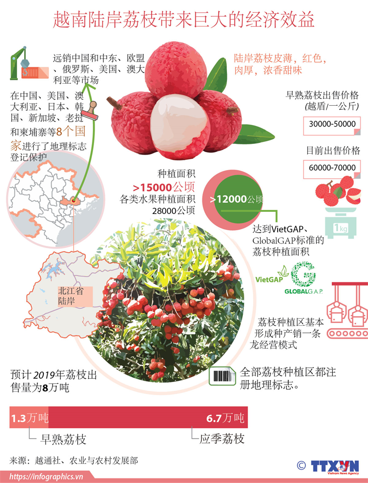 越南陆岸荔枝带来巨大的经济效益