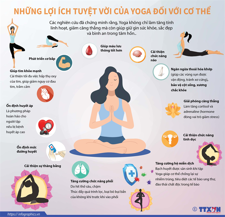 Nhá»¯ng lá»£i Ã­ch tuyá»t vá»i cá»§a Yoga Äá»i vá»i cÆ¡ thá»