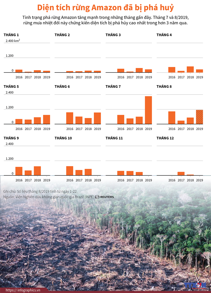 Diện tích rừng Amazon đã bị phá hủy
