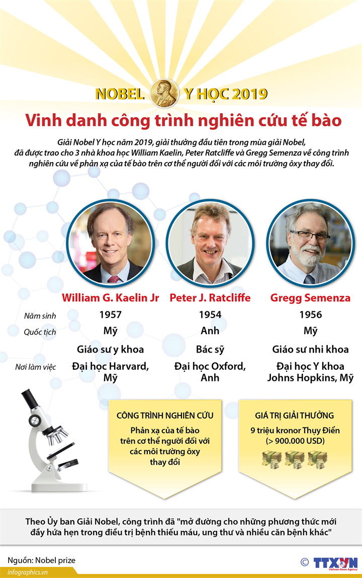 Giải Nobel Y học 2019 vinh danh công trình nghiên cứu tế bào