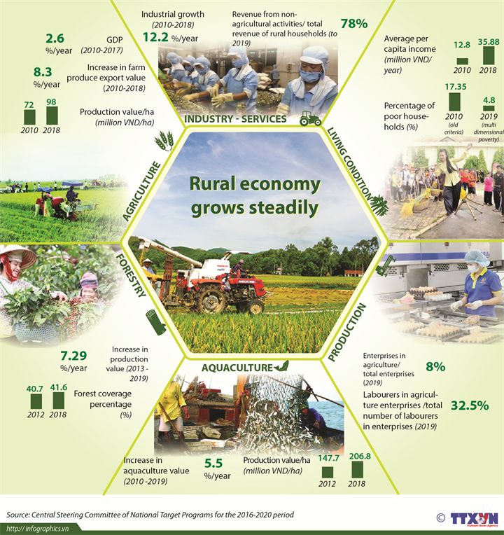 Rural economy grows steadily