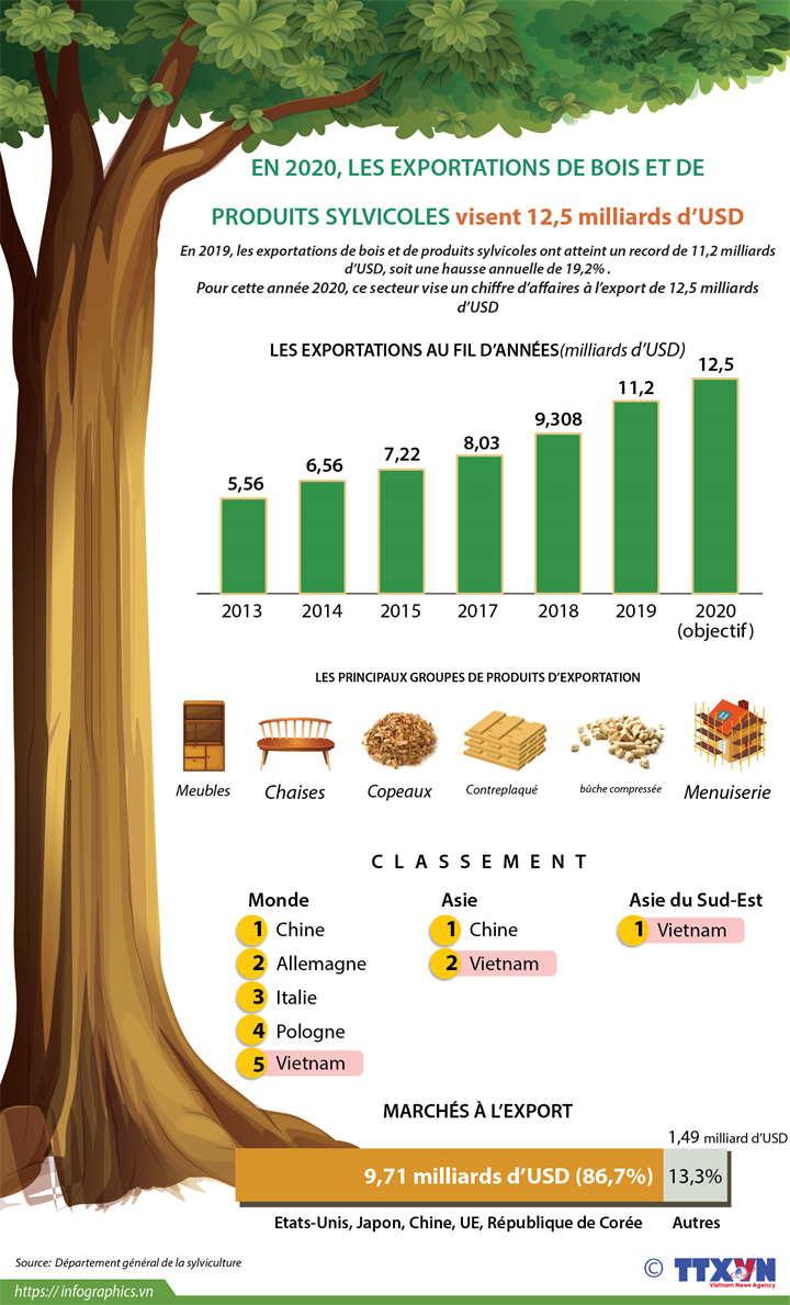 En 2020, les exportations de bois et de produits sylvicoles visent 12,5 milliards d’USD