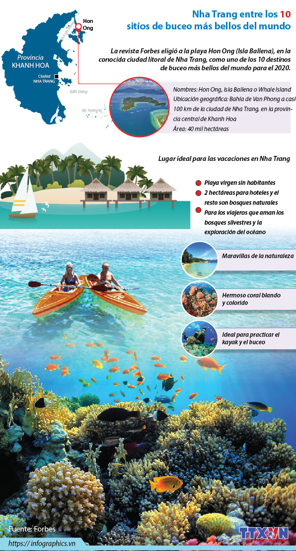 Nha Trang entre los 10 sitios de buceo más bellos del mundo 