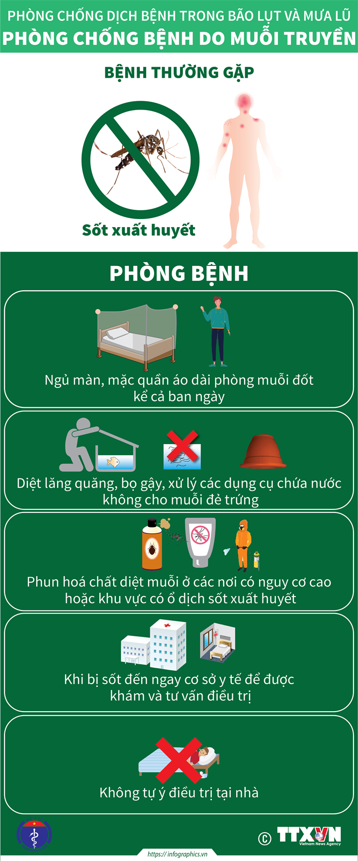 Phòng chống bệnh do muỗi truyền