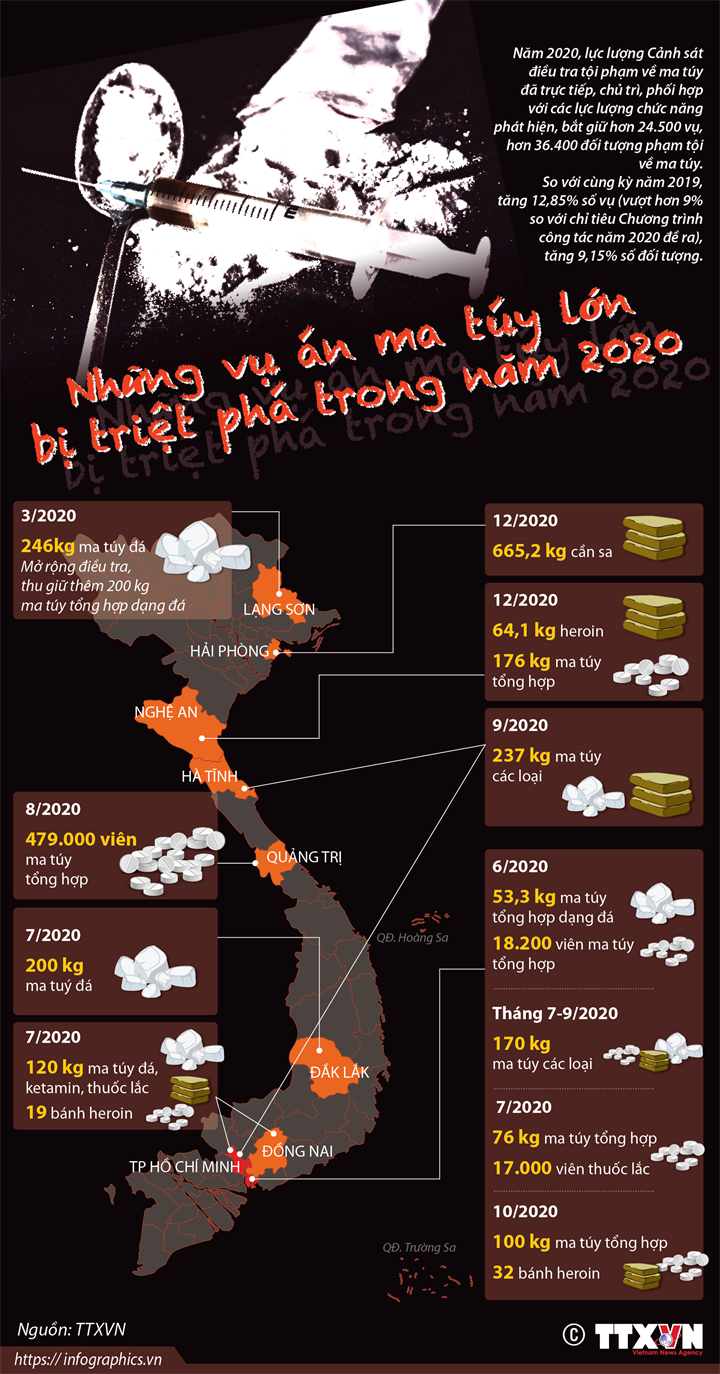 Những vụ án ma túy lớn bị triệt phá trong năm 2020