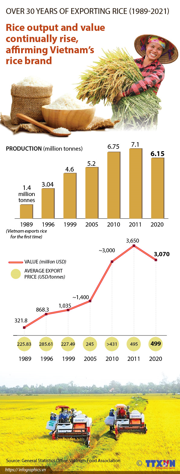 Rice output and value continually rise, affirming Vietnam’s rice brand