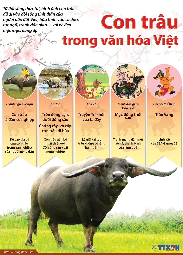 Con trâu trong văn hóa Việt