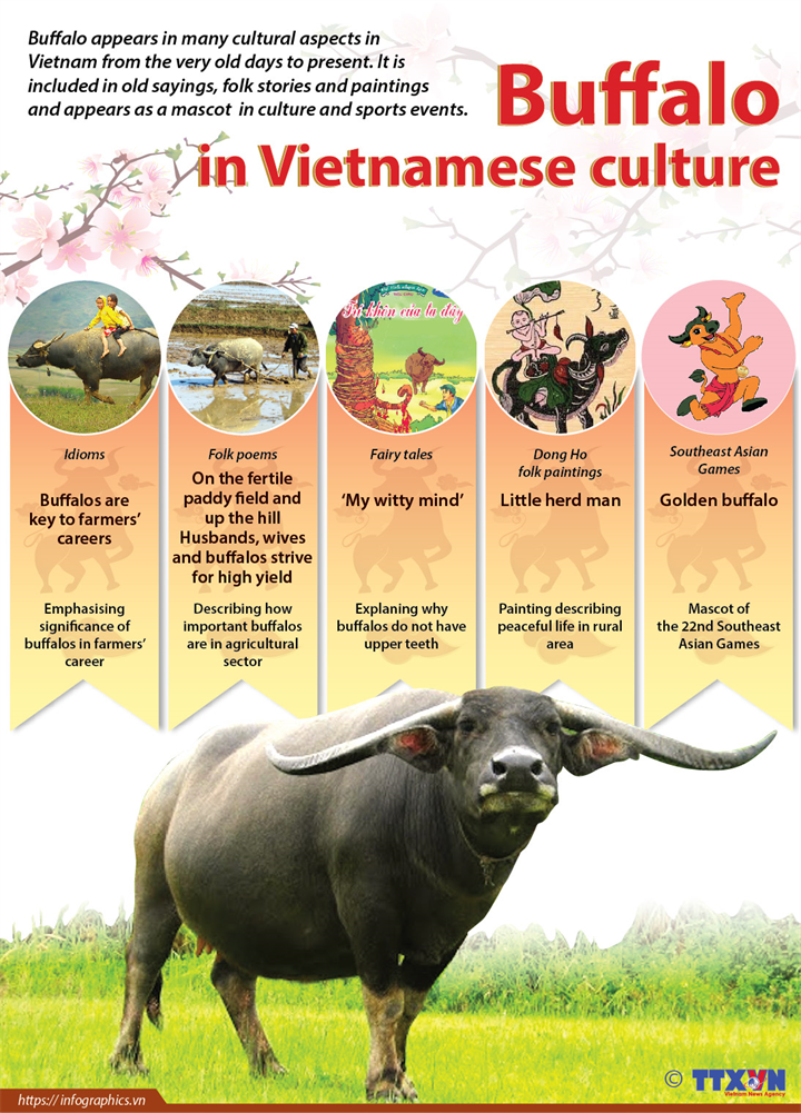 Buffalo in Vietnamese culture