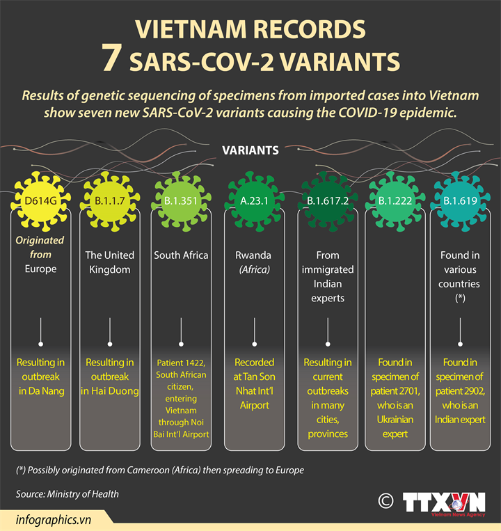 Vietnam records 7 SARS-CoV-2 variants