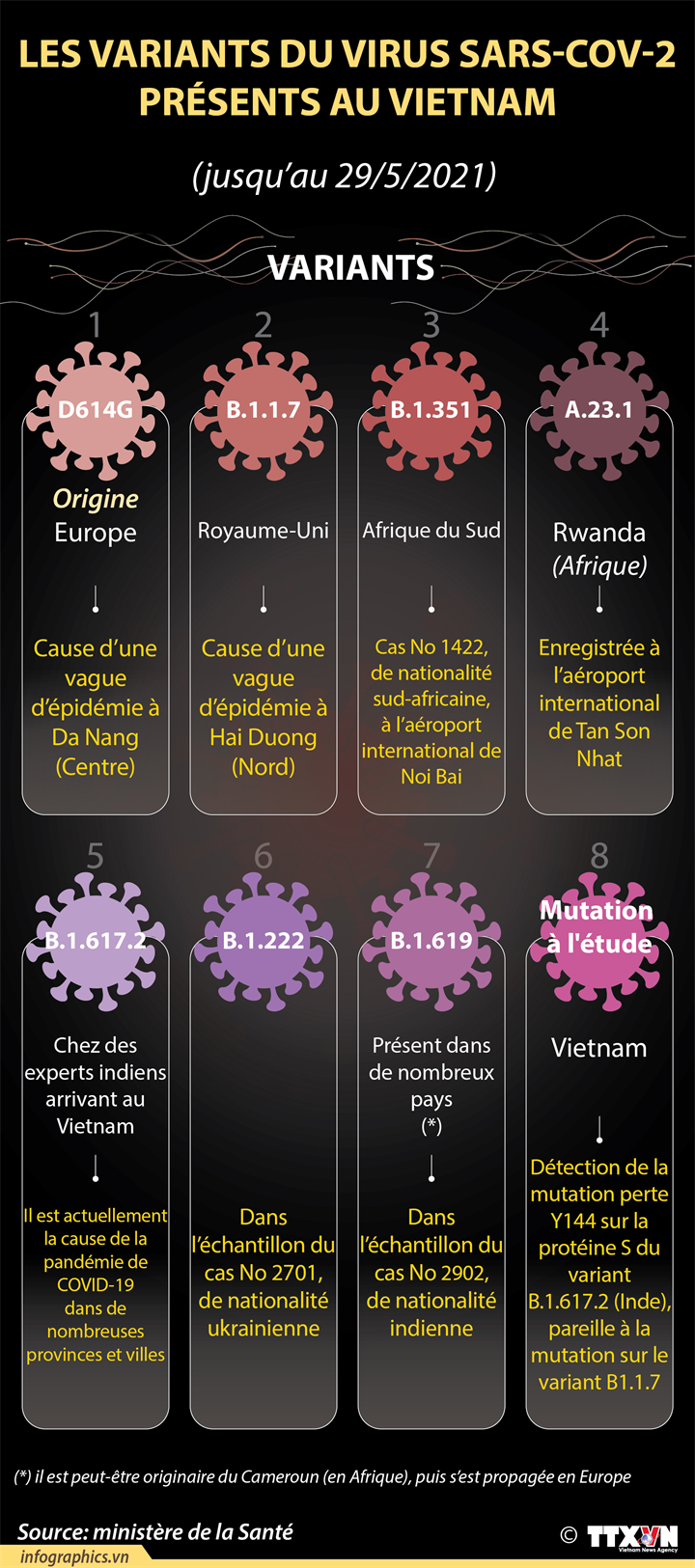 Les huit variants du virus SARS-CoV-2 présents au Vietnam jusqu’au 29 mai