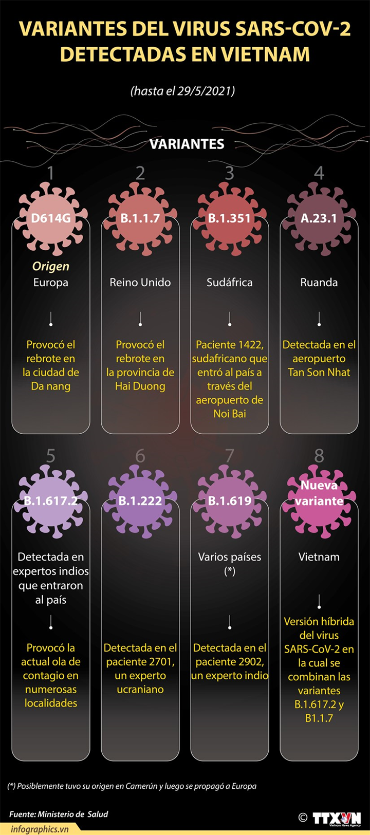 Las variantes del virus SARS-CoV-2 detectadas en Vietnam