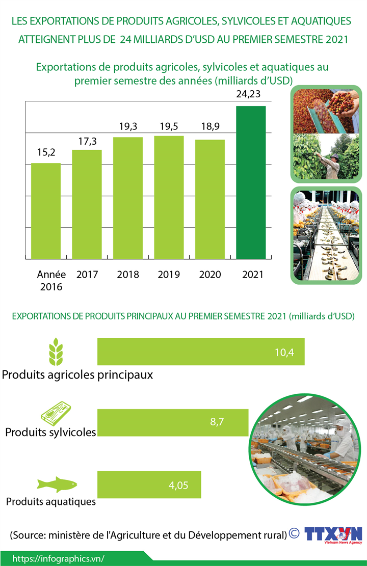 Les exportations de produits agricoles, sylvicoles et aquatiques atteignent plus de 24 milliards d’USD au 1er semestre
