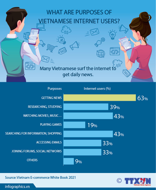 What are purposes of Vietnamese internet users?