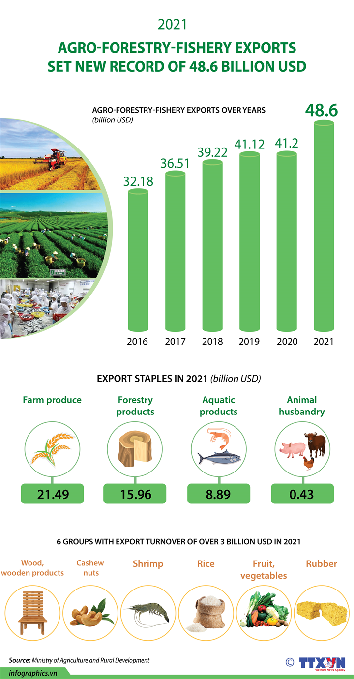 Agro-forestry-fishery exports set new record of 48.6 billion USD