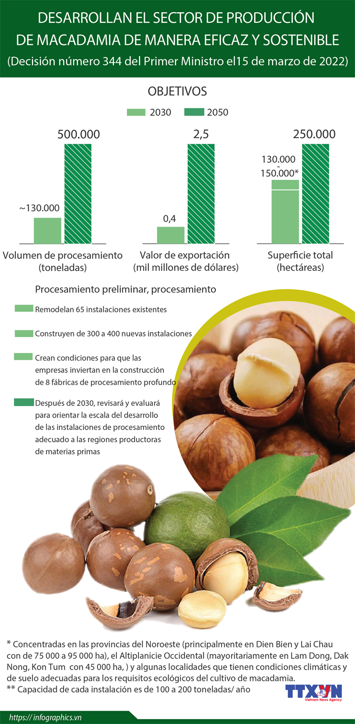 Desarrollan el sector de producción de macadamia de manera eficaz y sostenible