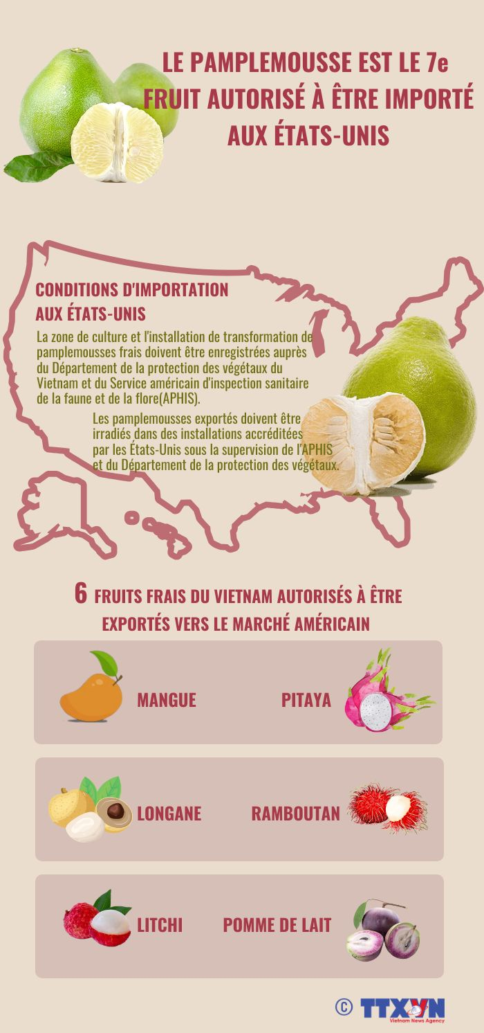 Le pamplemousse est le 7e fruit vietnamien autorisé à être importé aux États-Unis