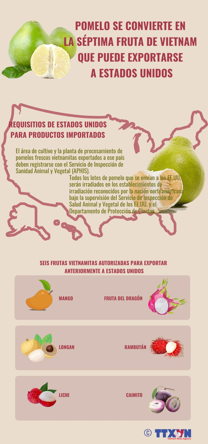 Pomelo se convierte en la séptima fruta de Vietnam que puede exportarse a EE.UU.