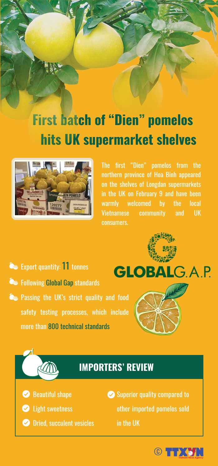 First batch of “Dien” pomelos hits UK supermarket shelves
