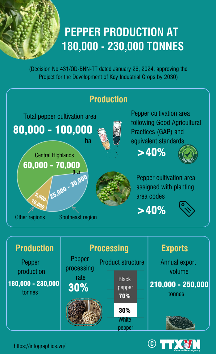Vietnam striving to reach pepper production of 180,000 - 230,000 tons by 2030