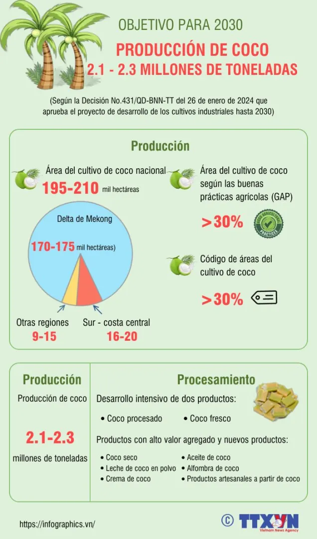 Producción de coco alcanzará 2,3 millones de toneladas para 2030