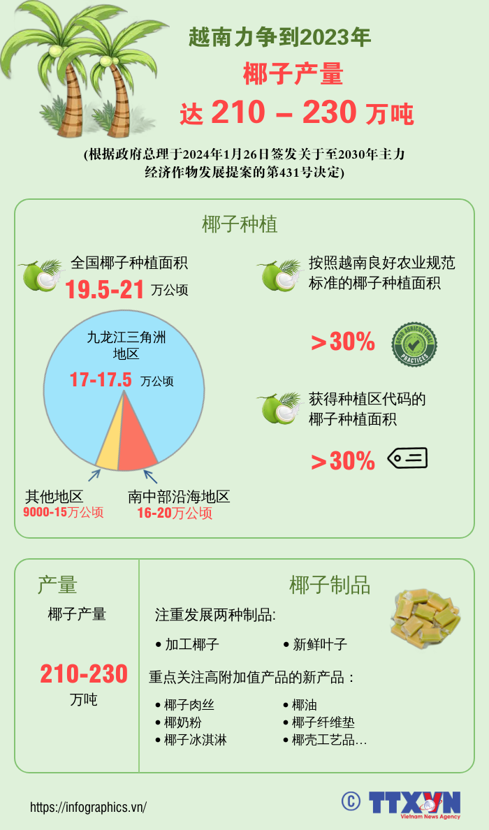 越南力争到2023年椰子产量达210-230万吨