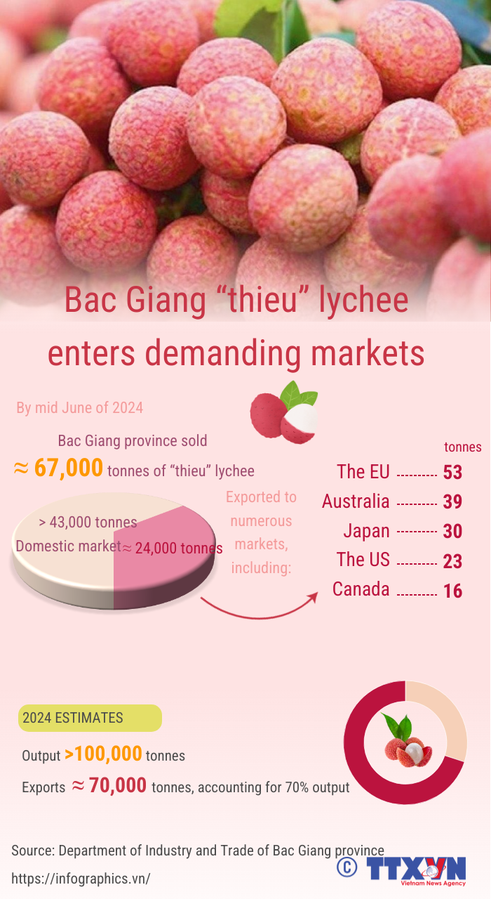 Bac Giang successfully exports lychee to demanding markets