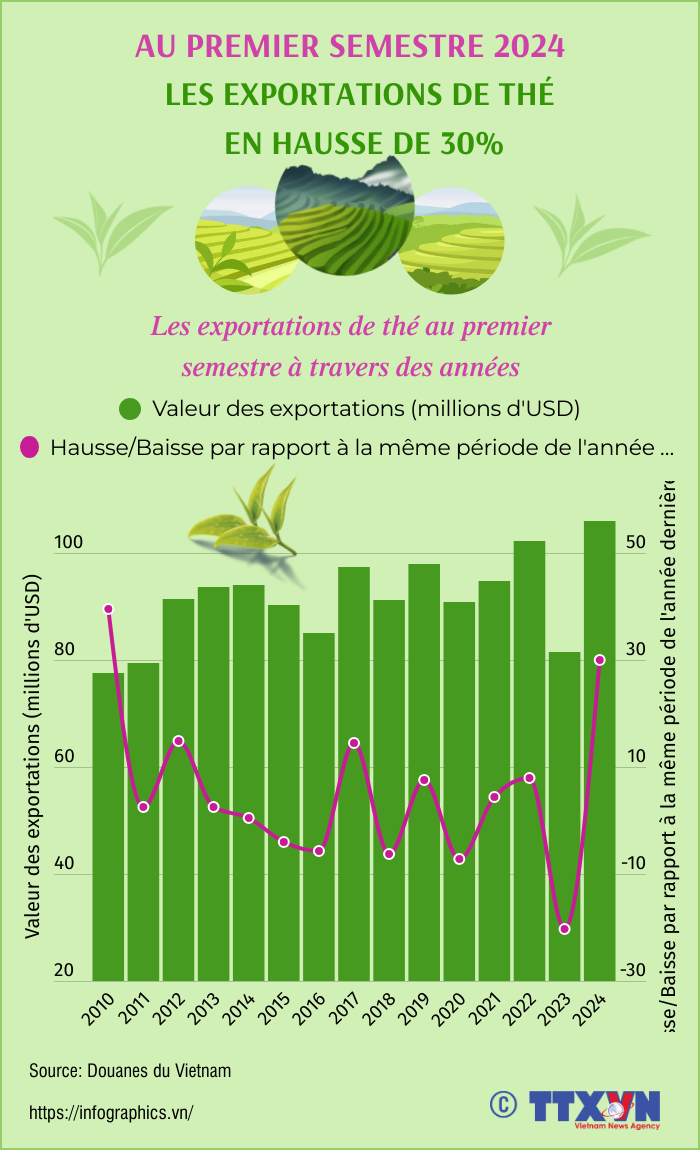 Les exportations de thé en hausse de 30 % au cours du premier semestre 