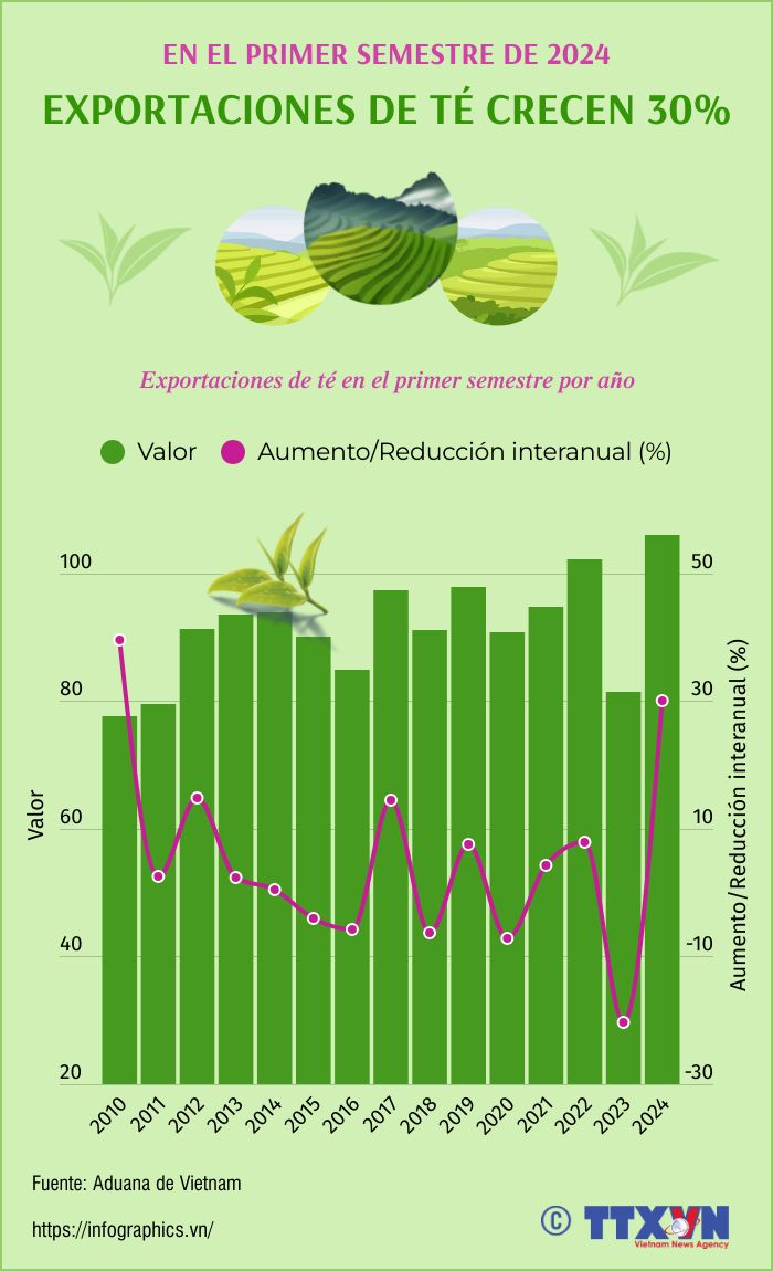 Exportaciones del té de Vietnam crecieron 30% en el primer semestre de 2024