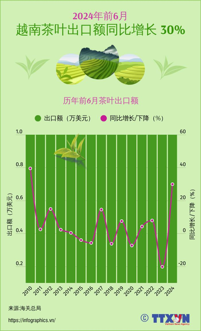 2024年前6月越南茶叶出口额同比增长 30%