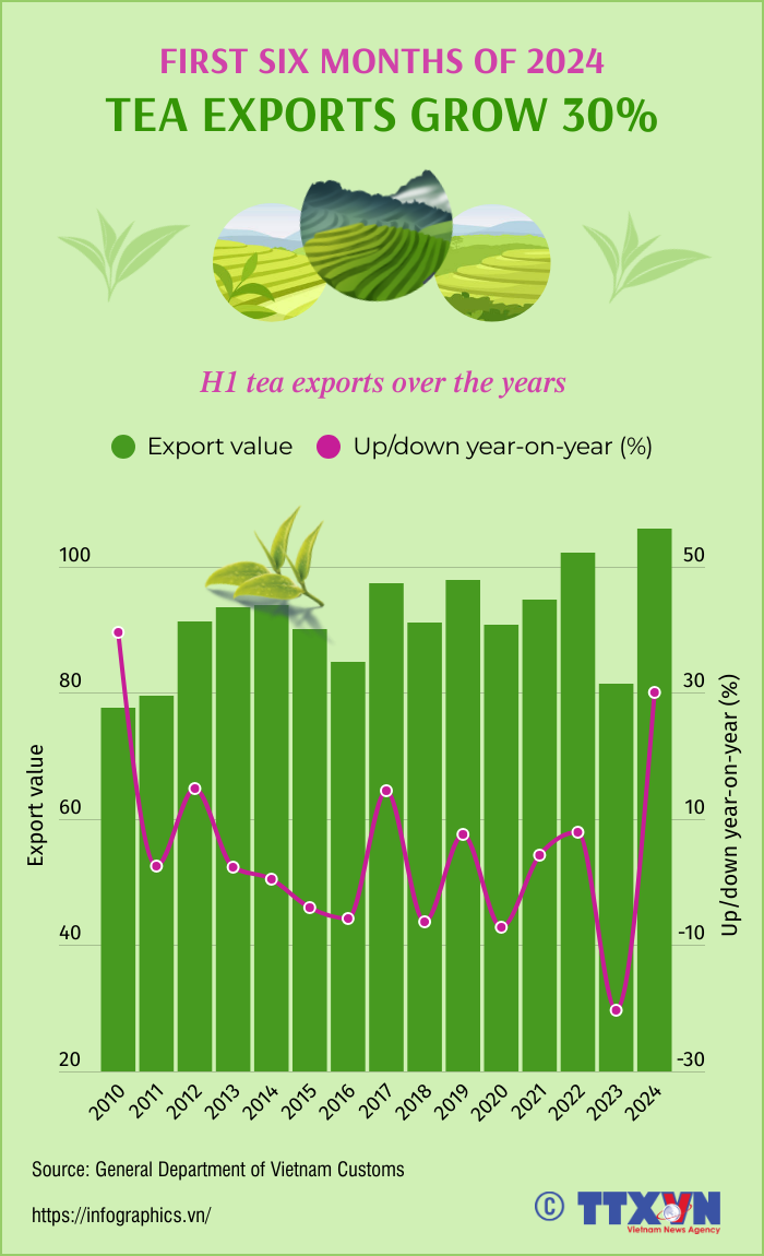 Tea exports grow 30% in H1