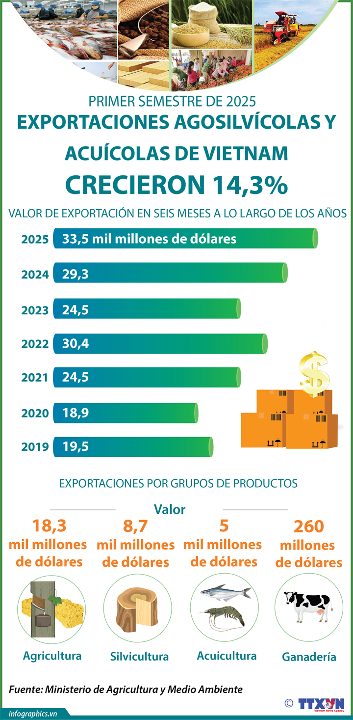 Exportaciones agosilvícolas y acuícolas de Vietnam crecieron 14,3% en primer semestre