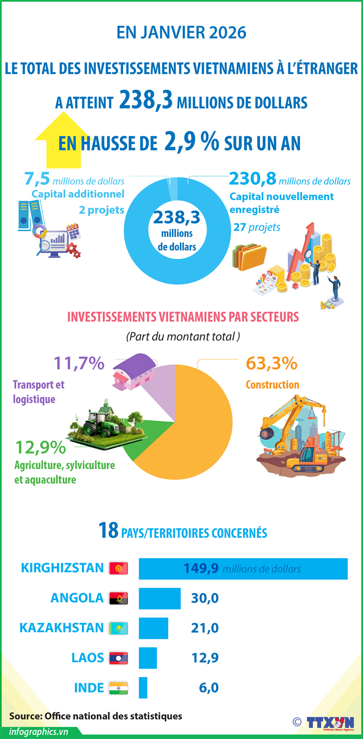 Le total des investissements vietnamiens à l'étranger atteint 238,5 millions de dollars