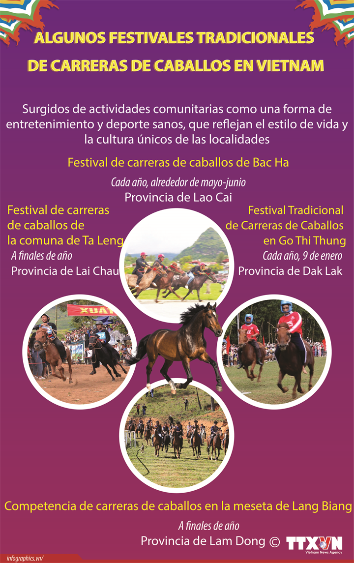 Algunos festivales tradicionales de carreras de caballos en Vietnam