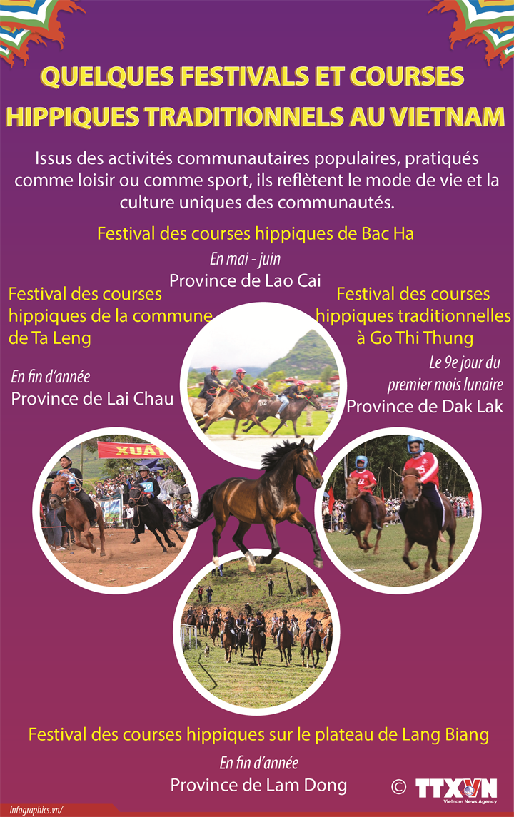 Quelques festivals et courses hippiques traditionnels au Vietnam