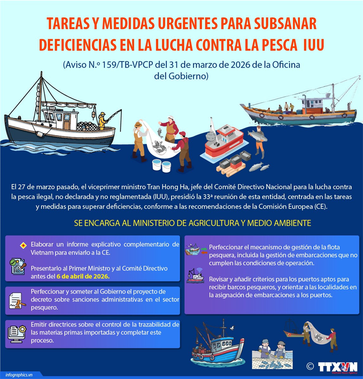 Medidas urgentes para subsanar deficiencias en lucha contra pesca ilegal