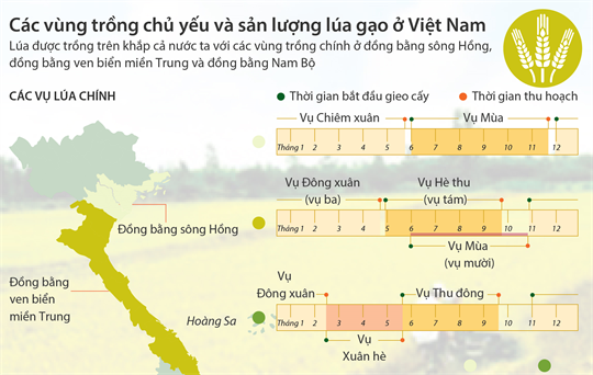 Hoa Kỳ: Các Bang Sản Xuất Lúa Gạo