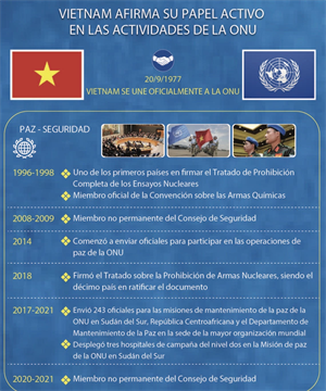 Vietnam afirma su papel activo en las actividades de la ONU