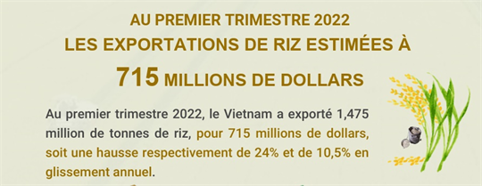 Au premier trimestre 2022, les exportations de riz estimées à 715 millions de dollars