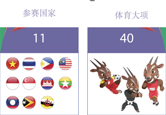 第31届东南亚运动会的相关数字
