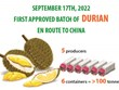 First approved batch of Vietnamese durians en route to China