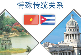 越南—古巴特殊传统关系