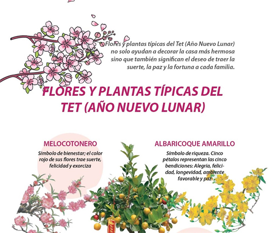 Flores y plantas típicas del Tet 