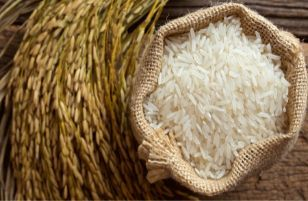 Les exportations de riz au fil des ans